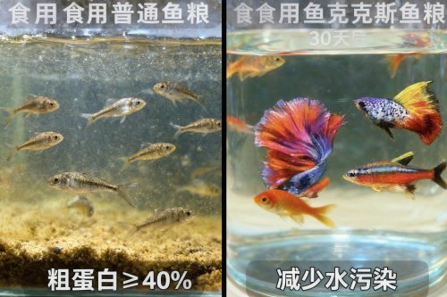 效果对比图
