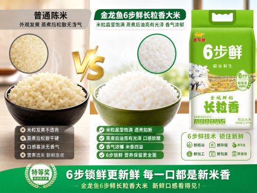 效果对比图