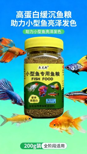 活动宣传海报