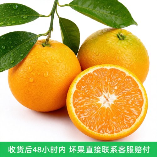 白底主图